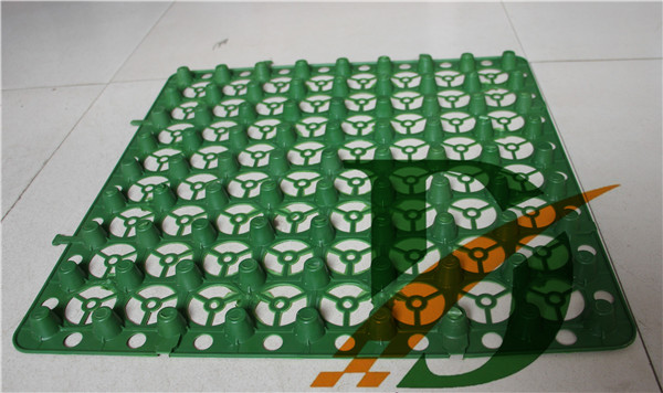 20����ɫ����ˮ��