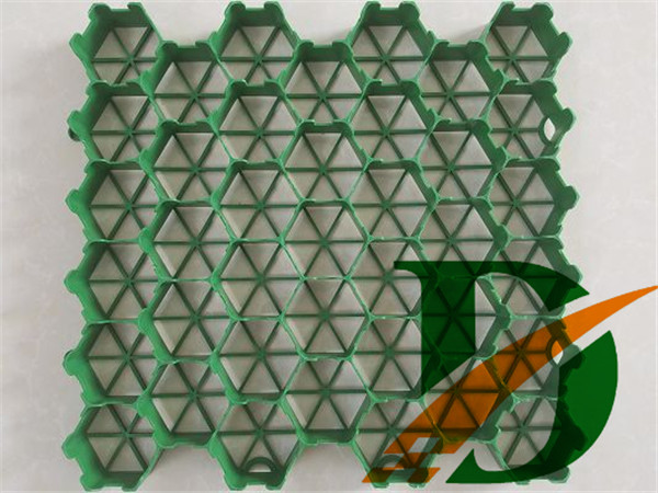 4����ֲ�ݸ�