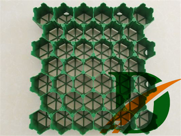 7����ֲ�ݸ�